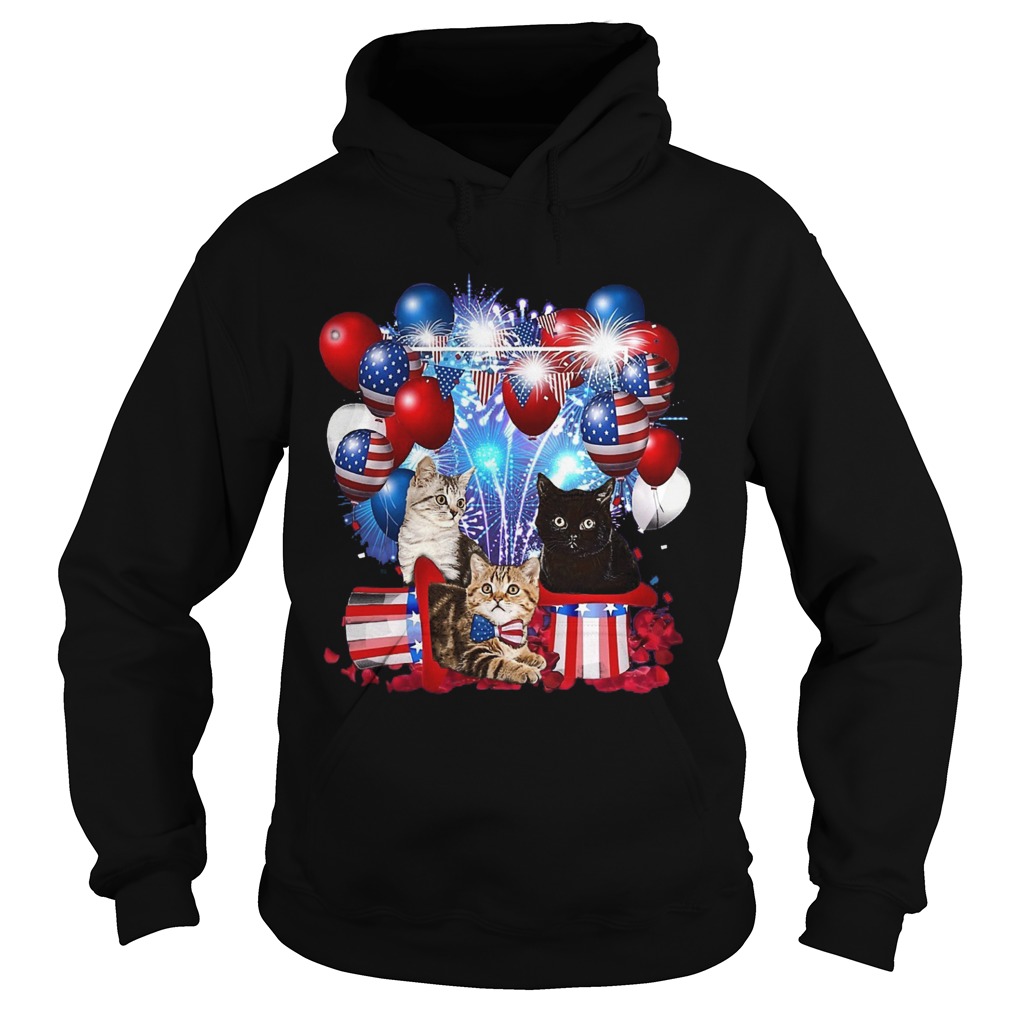Cats Balloons Fireworks Independence Day 4th Of July  Hoodie