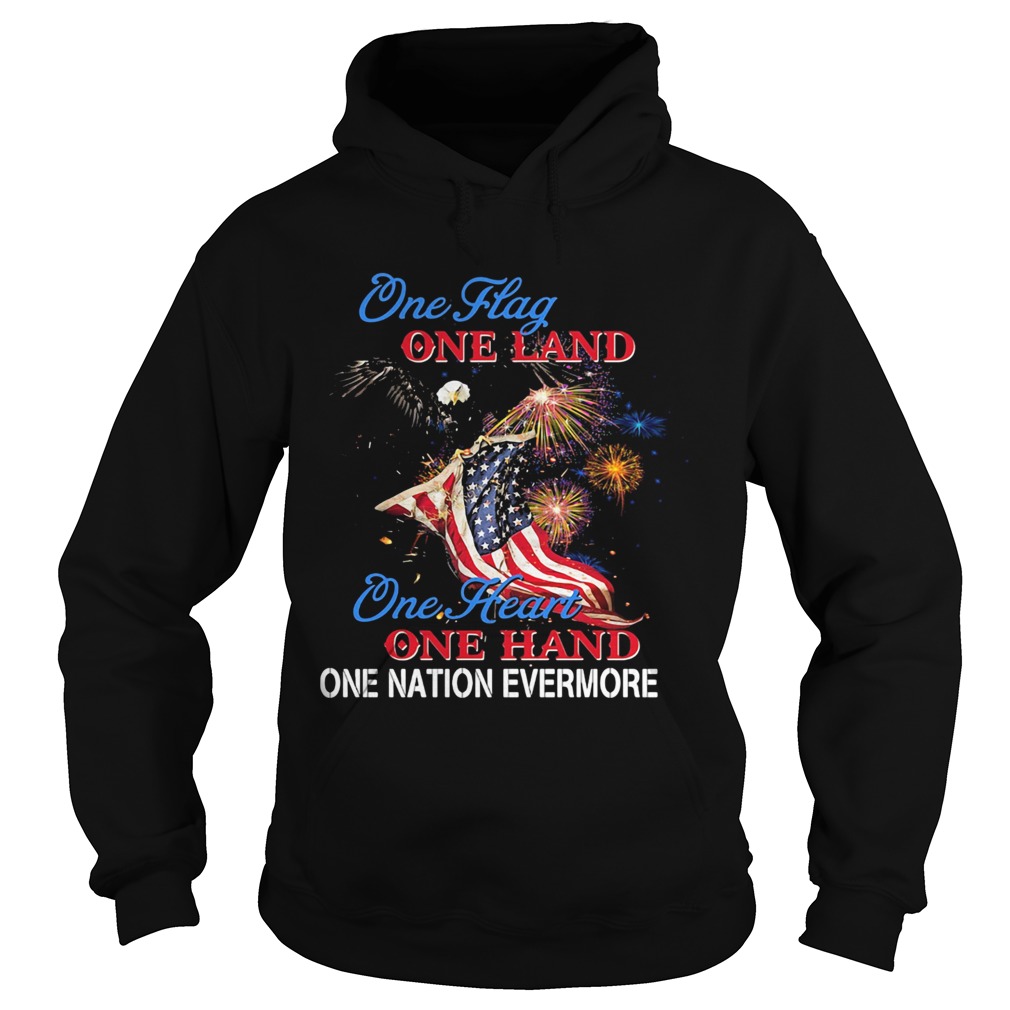 Eagle Once flag one land one heart American flag veteran Independence Day Hoodie