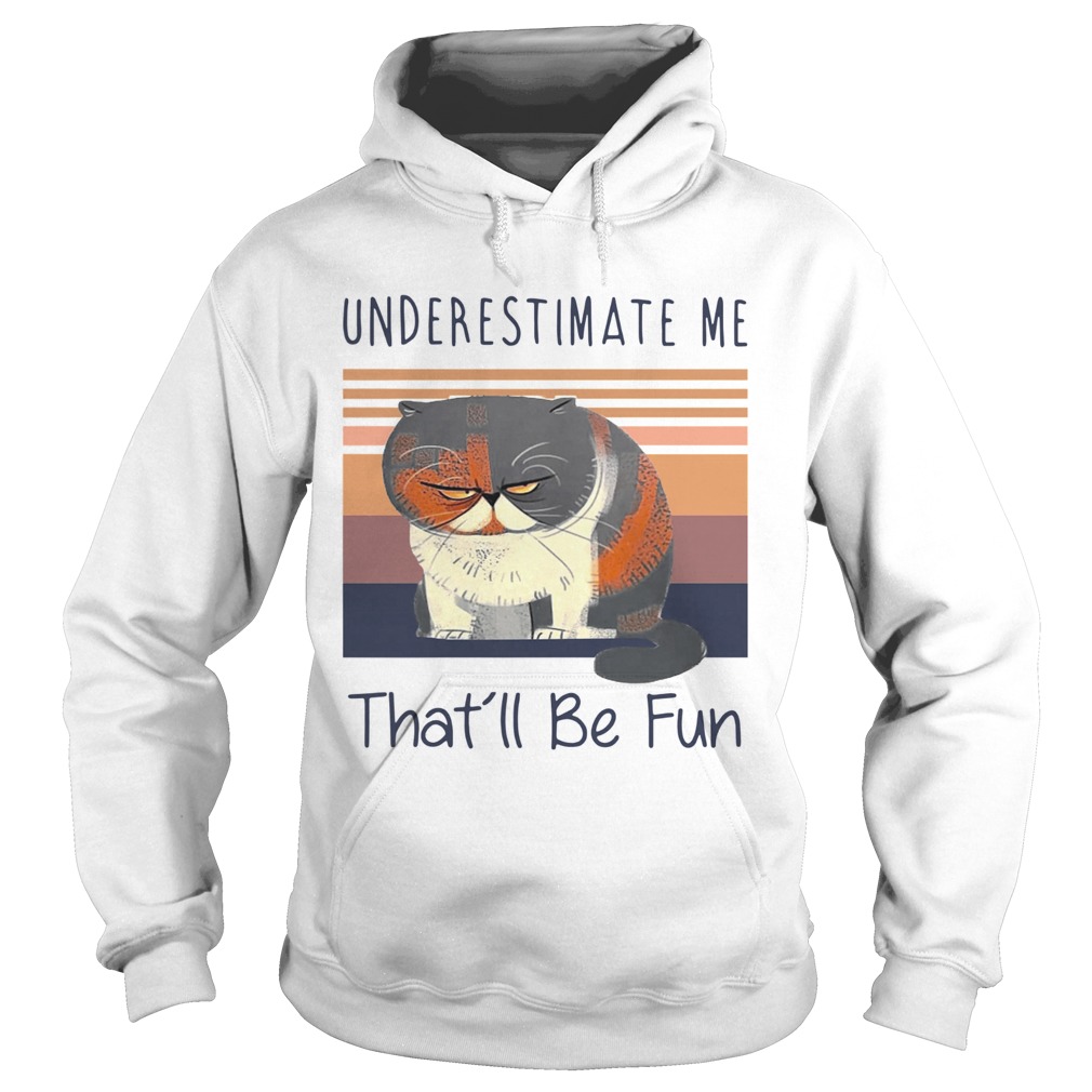 Grumpy Cat Underestimate Me Thatll Be Fun Vintage  Hoodie
