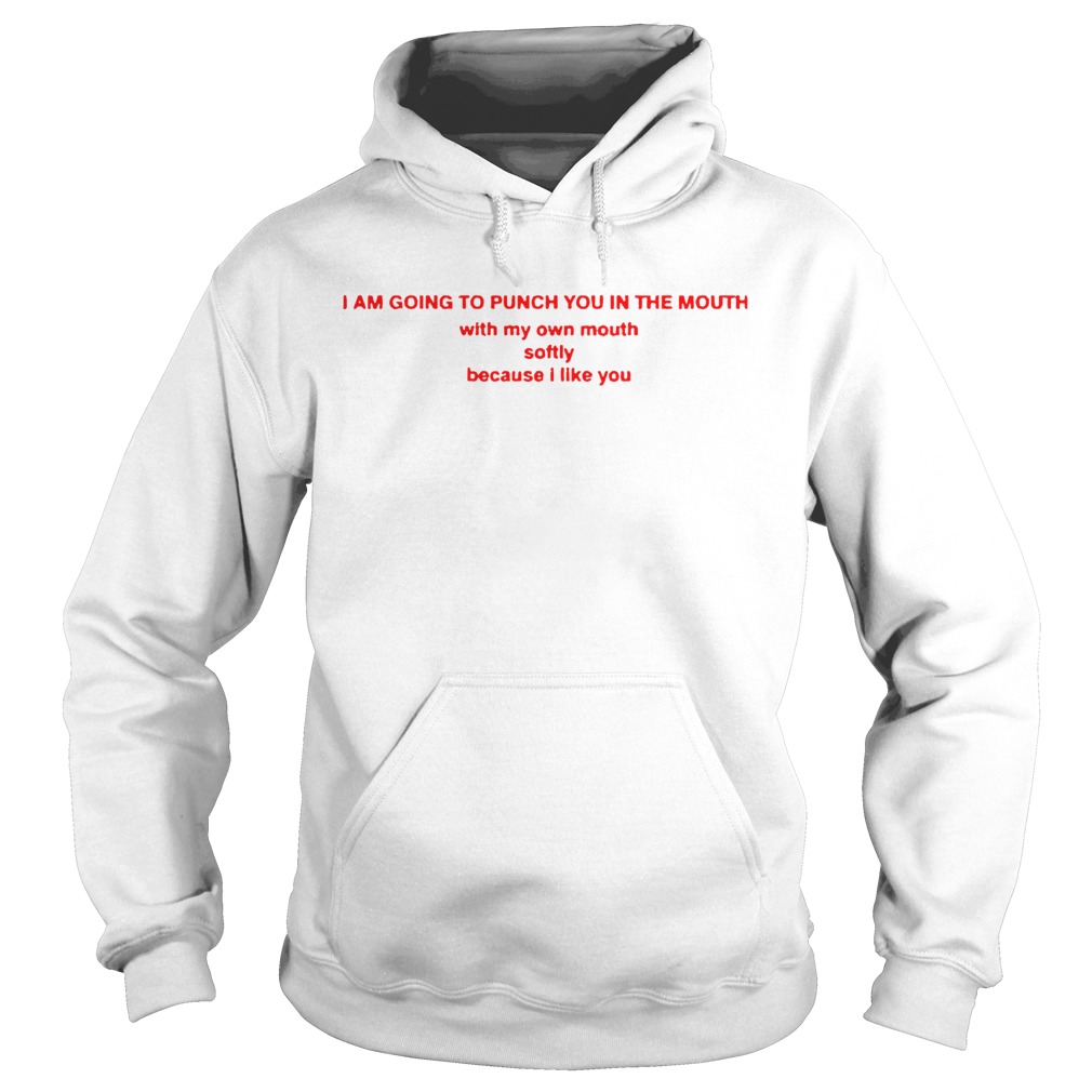 I Am Going To Punch You In The Mouth With My Mouth  Hoodie