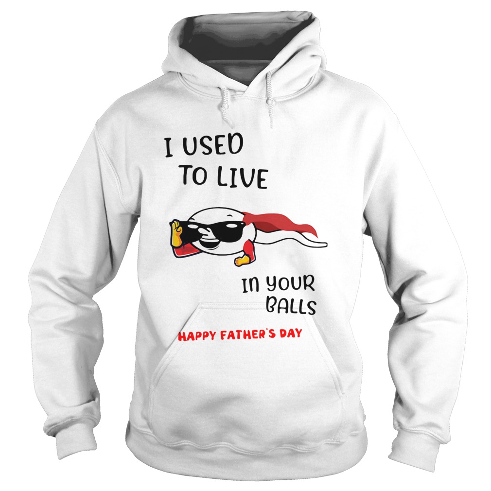 I Used To Live In Your Balls Happy Fathers Day  Hoodie