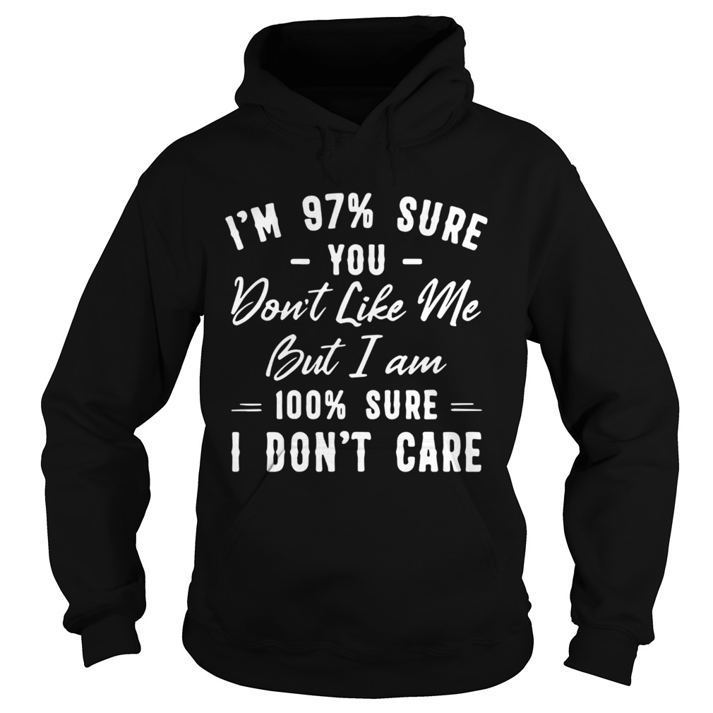 Im 97 Sure You Dont Like Me But I Am 100 Sure I Dont Care  Hoodie
