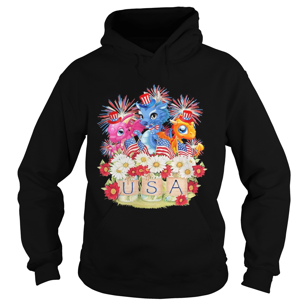 Independence Day dragon firework flag flower USA  Hoodie