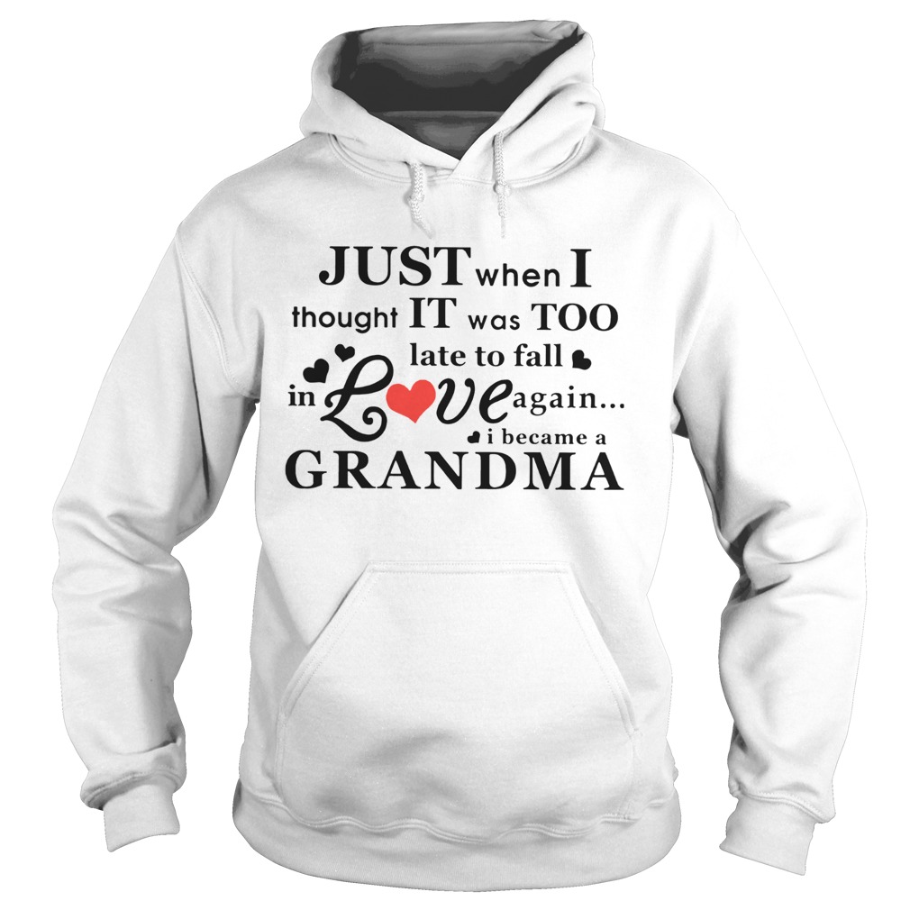 Just When I Thought It Was Too Late To Fall In Love Again I Became A Grandma  Hoodie