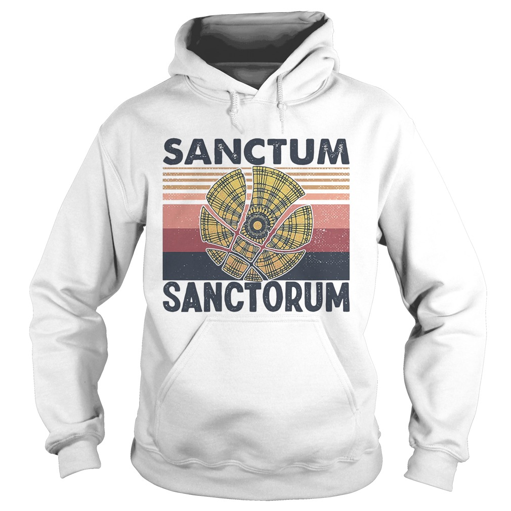Magical symbol sanctum sanctorum vintage  Hoodie