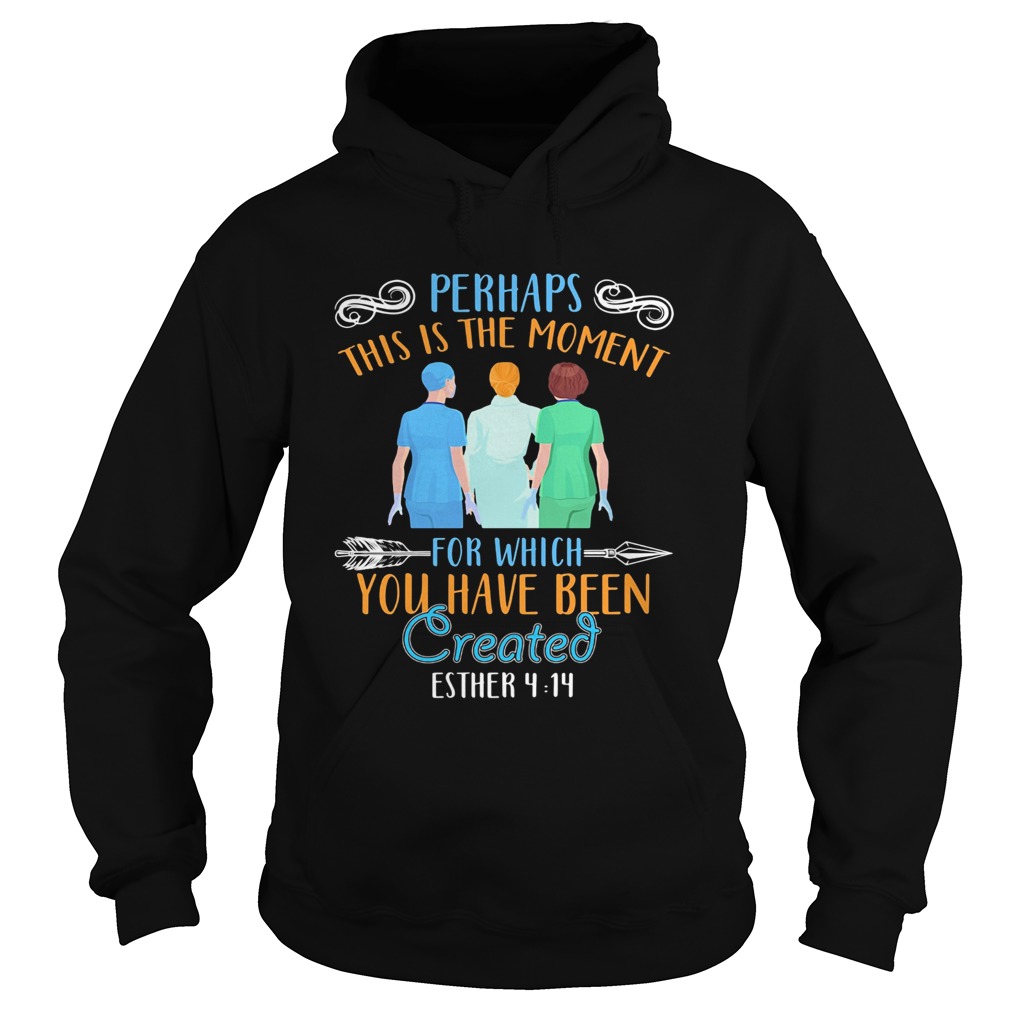 Perhaps this is the moment for which you have been created esther nurse  Hoodie