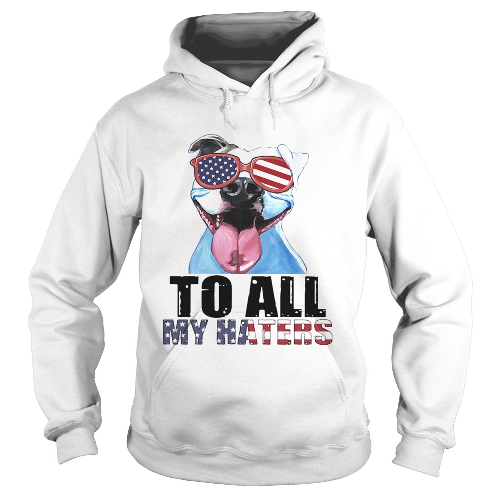 To all my haters pitbull American flag veteran Independence Day  Hoodie