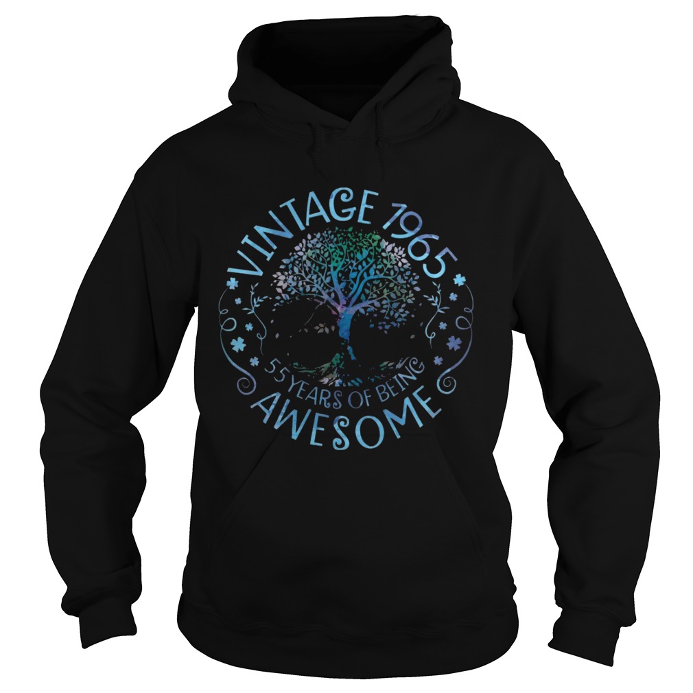 Vintage 1965 55 Years Of Being Awesome Hoodie