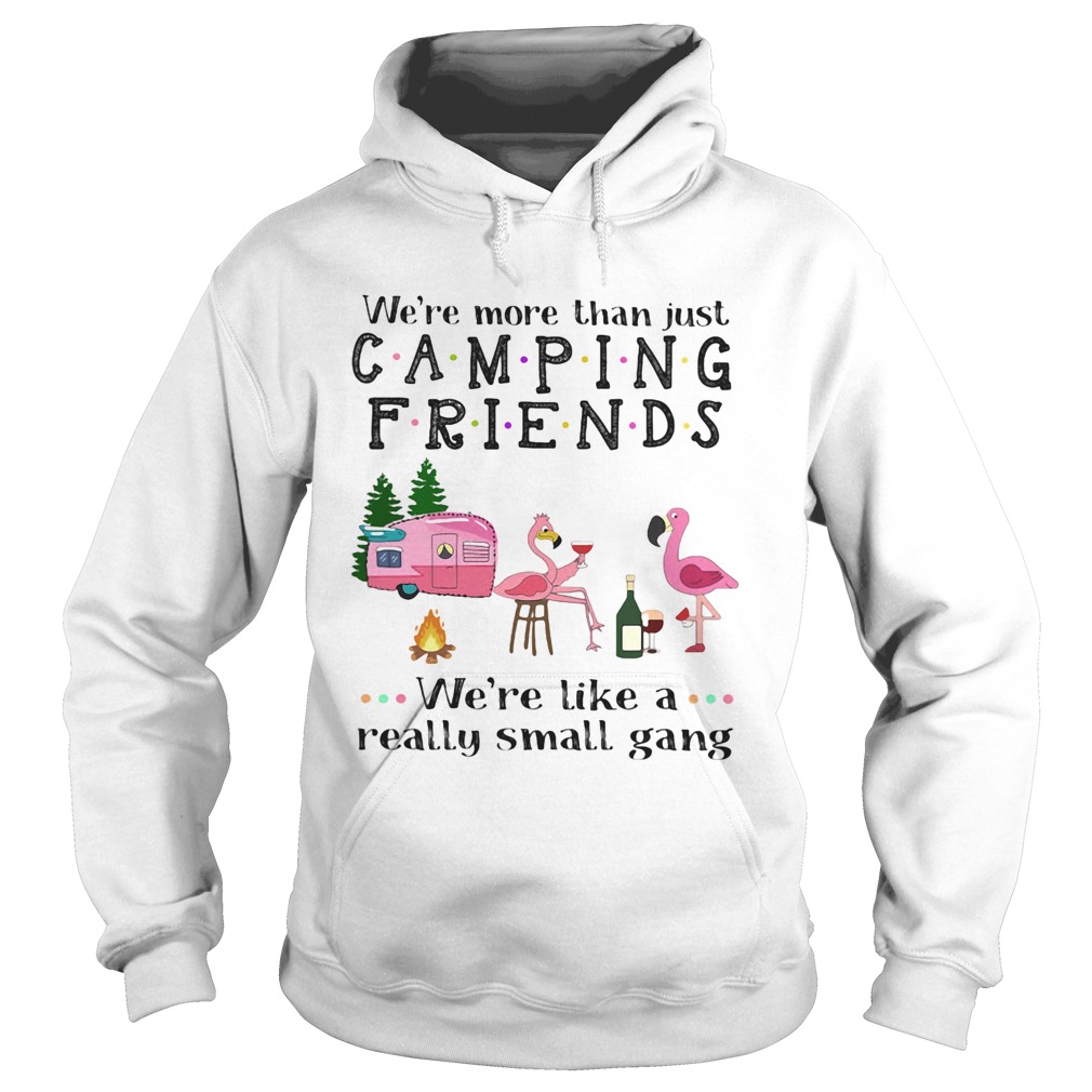 Were more than just camping friends were like a really small gang Flamingo  Hoodie