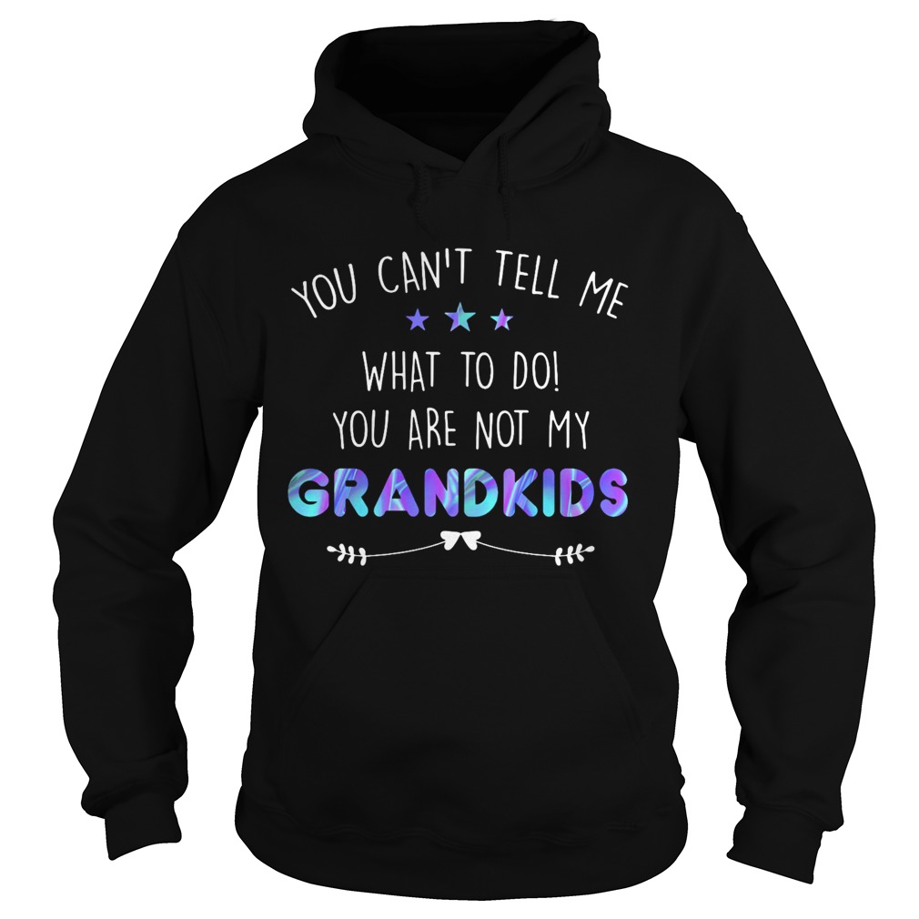 You cant tell me what to do you are not my grandkids stars  Hoodie