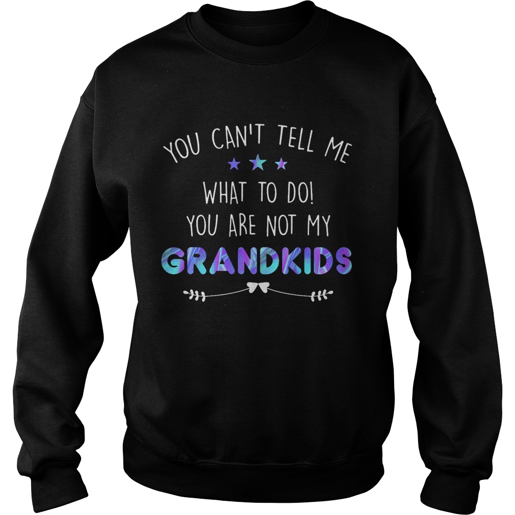 You cant tell me what to do you are not my grandkids stars  Sweatshirt