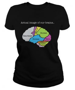 Actual image of our brain map horses  Classic Ladies