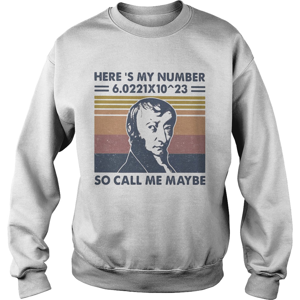 Amedeo avogadro heres my number so call me maybe vintage retro  Sweatshirt