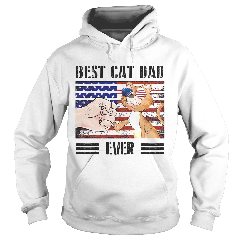 Best cat dad ever American flag veteran Independence Day vintage Hoodie