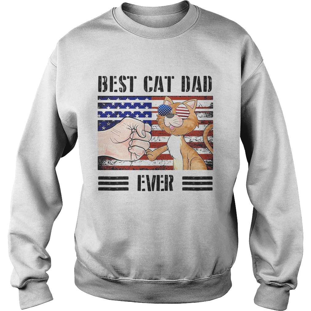 Best cat dad ever American flag veteran Independence Day vintage Sweatshirt