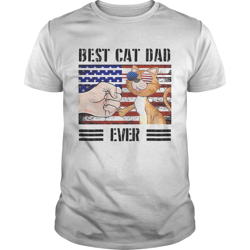 Best cat dad ever American flag veteran Independence Day vintage shirt