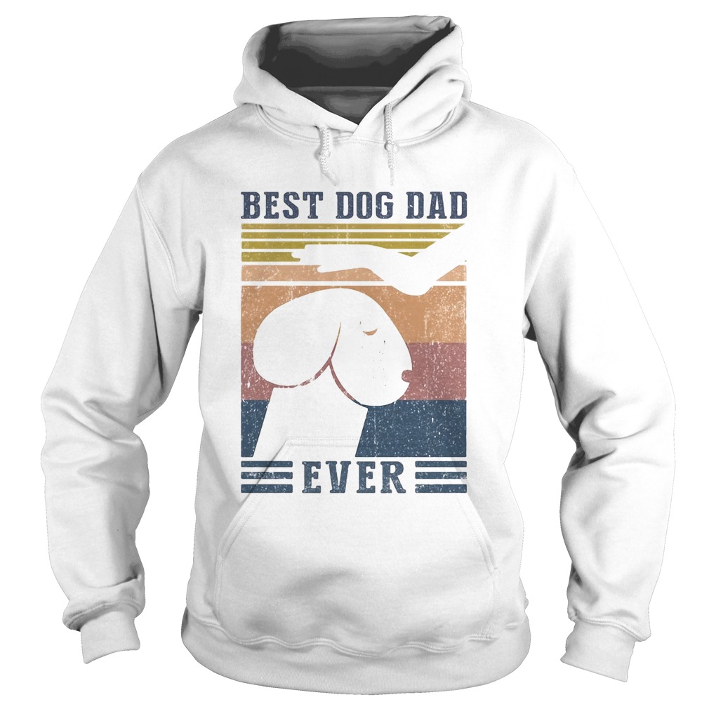 Best dog dad ever vintage Hoodie