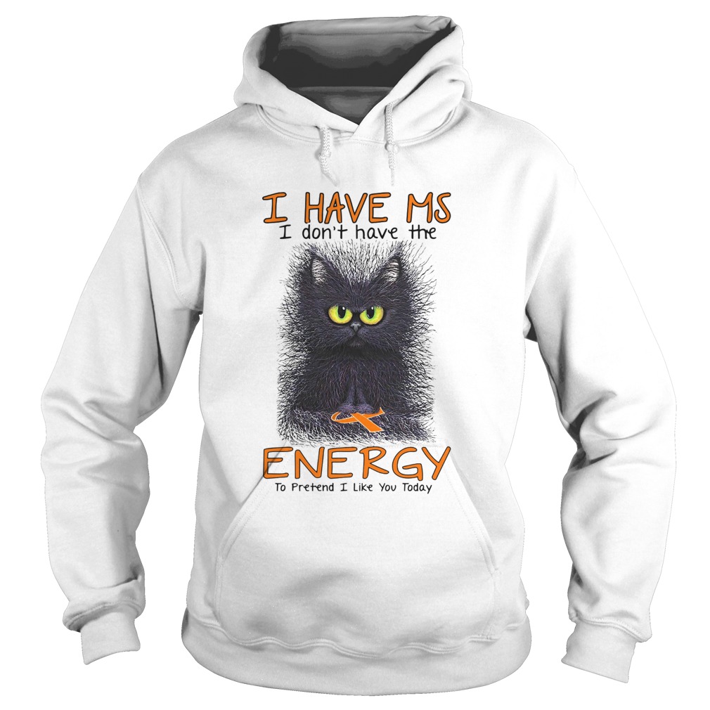 Black Cat I Have Ms I Dont Have The Energy To Pretend I Like You Today Hoodie