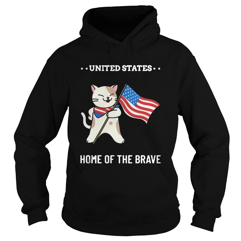 Cat United States Home Of The Brave Hoodie