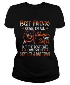 Dachshund Best Friends Come In All Shapes And Sizes  Classic Ladies