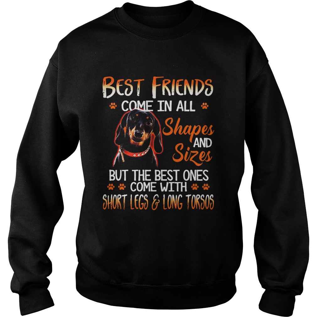 Dachshund Best Friends Come In All Shapes And Sizes Sweatshirt