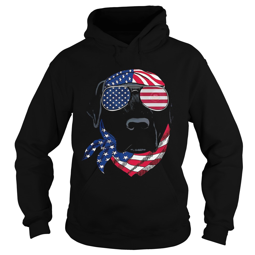 Dog American flag veteran Independence Day  Hoodie