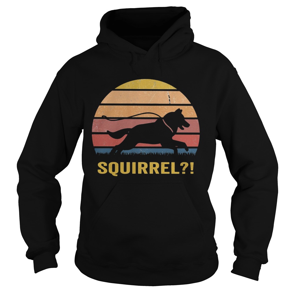 Dog squirrel vintage retro  Hoodie