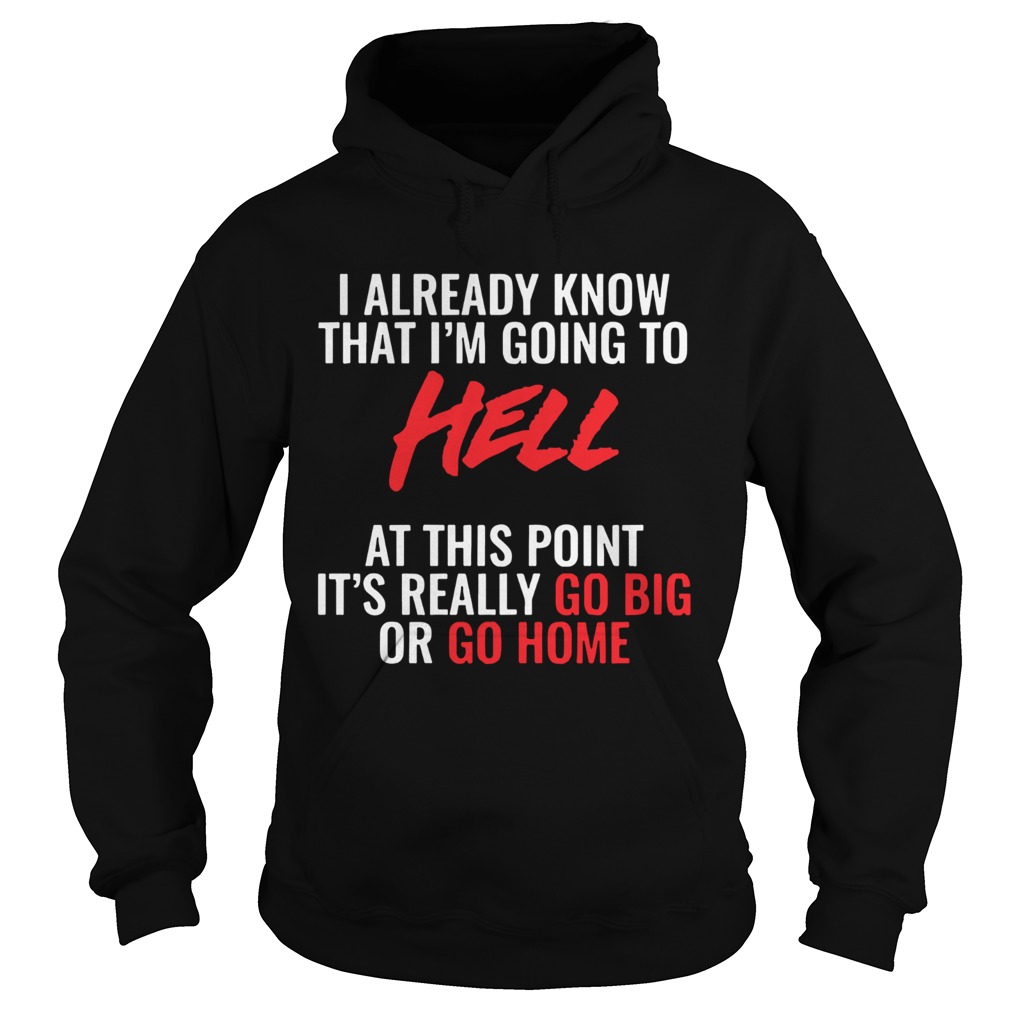 I Already Know What Im Going To Hell At This Point Hoodie