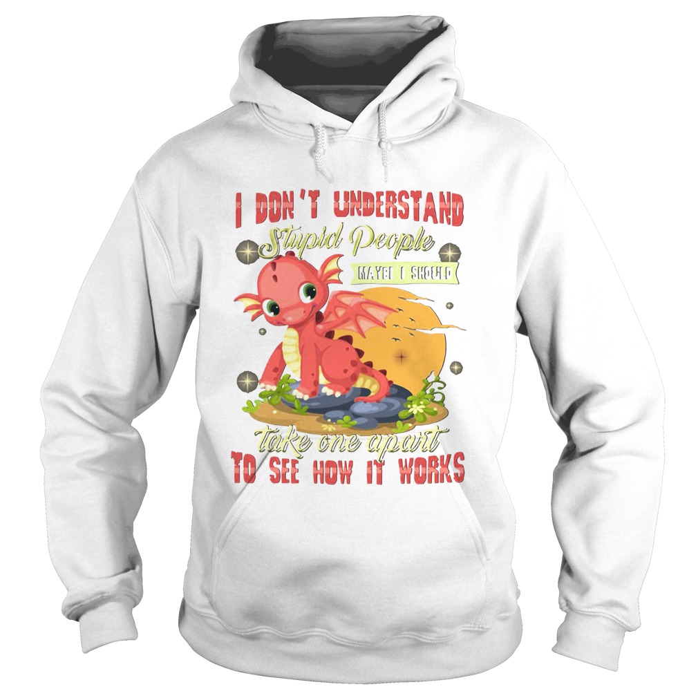 I Dont Understand Stupid People Take One Apart To See How It Works Fire Dragon Hoodie