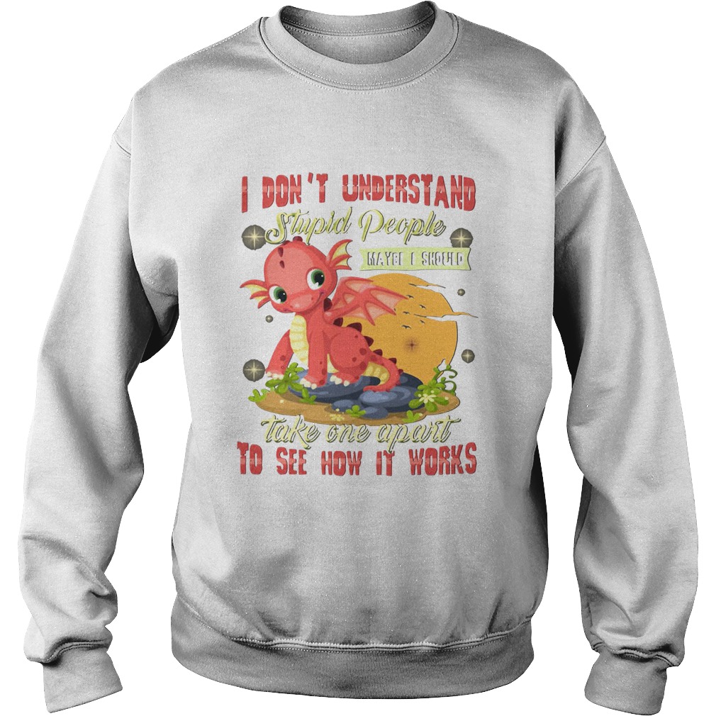 I Dont Understand Stupid People Take One Apart To See How It Works Fire Dragon Sweatshirt