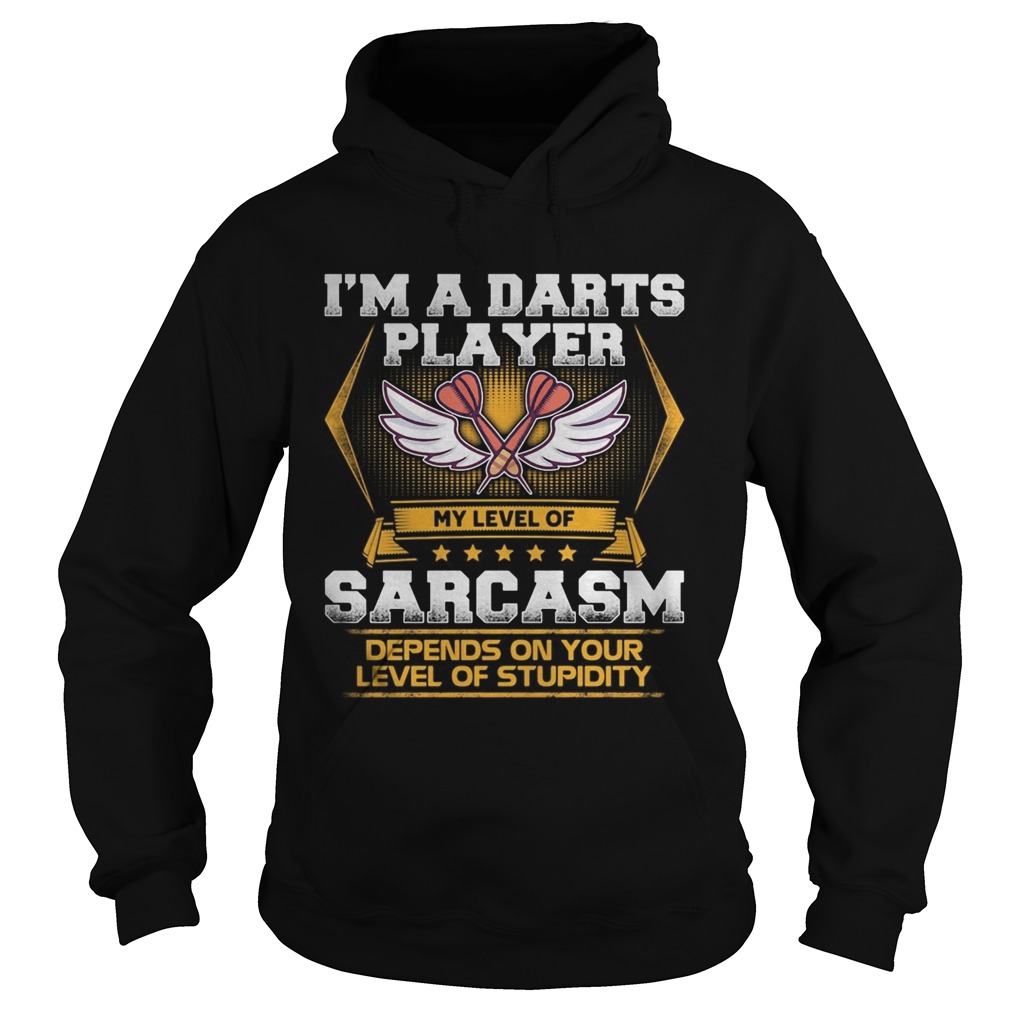 Im a darts player my level of sarcasm depends on your level of stupidity  Hoodie