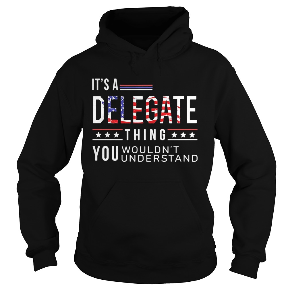 Independence Day its a delegate thing you wouldnt understand  Hoodie