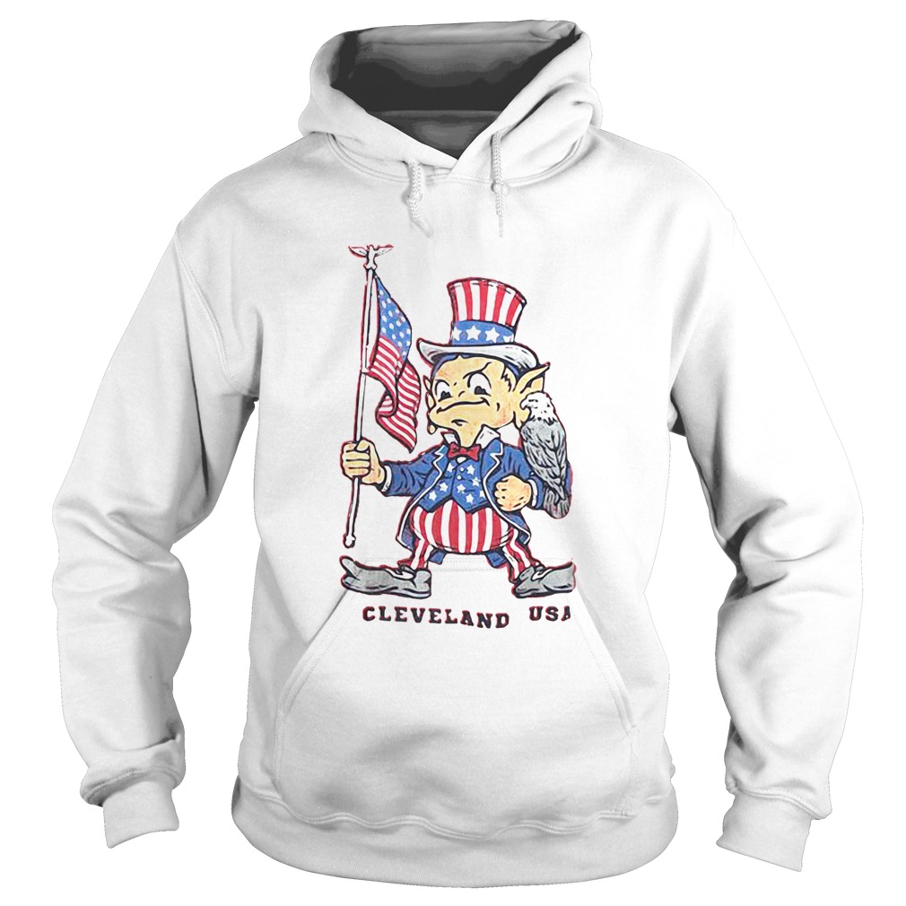 Independence day flag eagles cleveland USA Hoodie