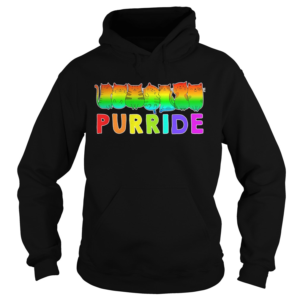 Lgbt gay pride cats lover kitty Hoodie