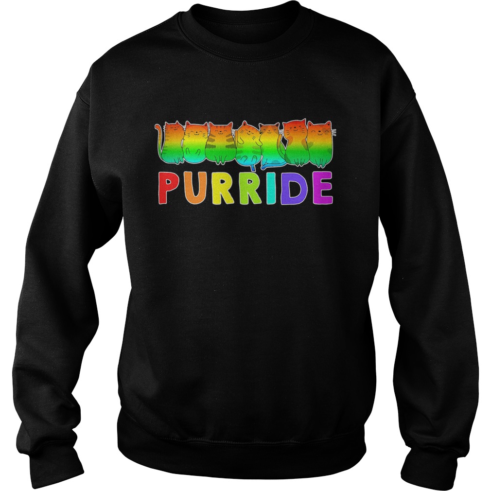 Lgbt gay pride cats lover kitty Sweatshirt