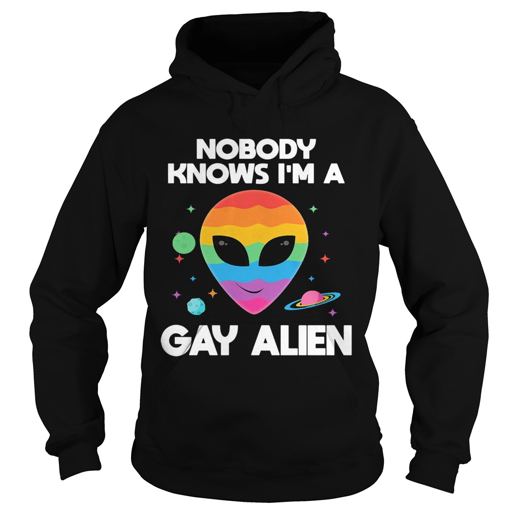 Lgbt nobody knows im a gay alien Hoodie