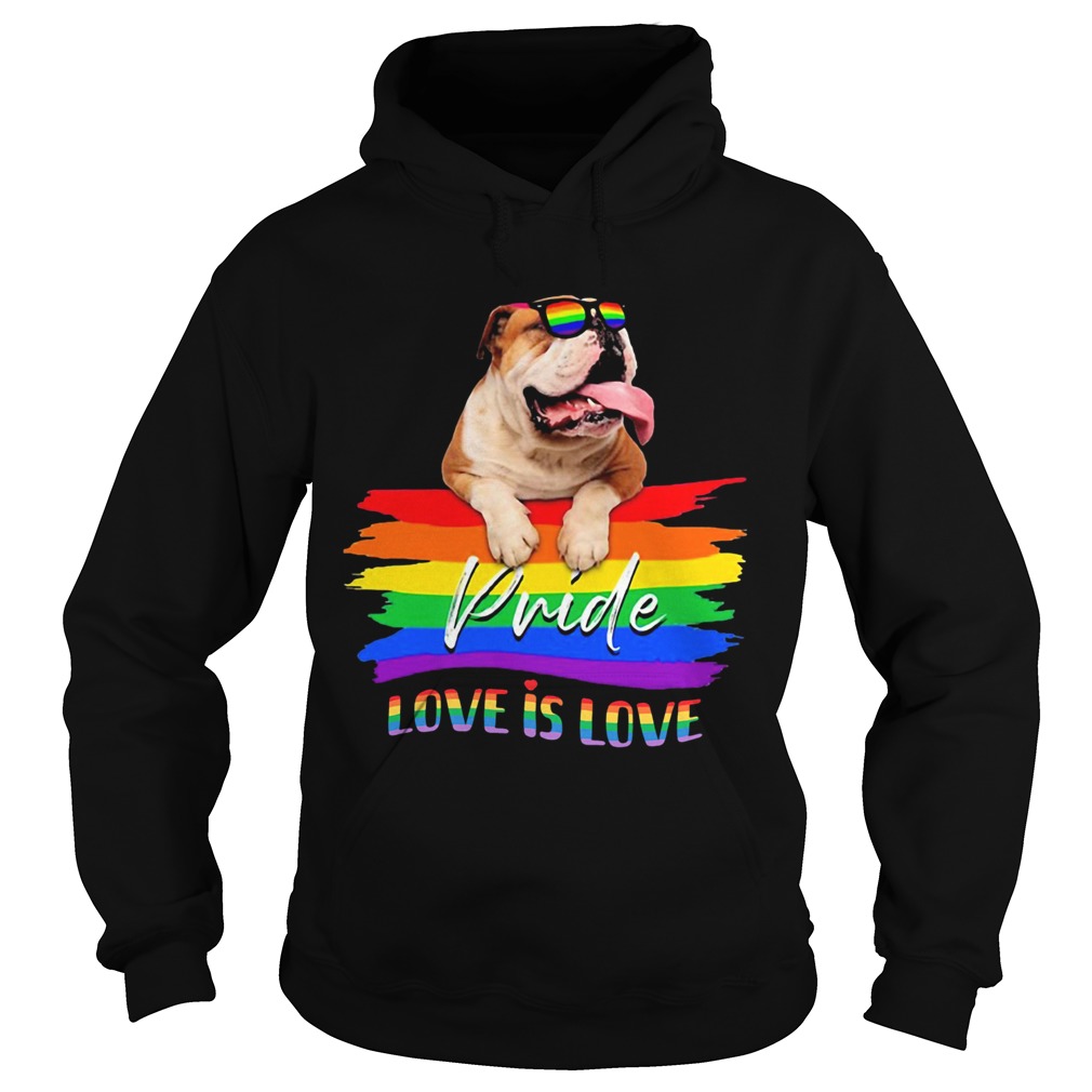 Lgbt pug pride love is love Hoodie