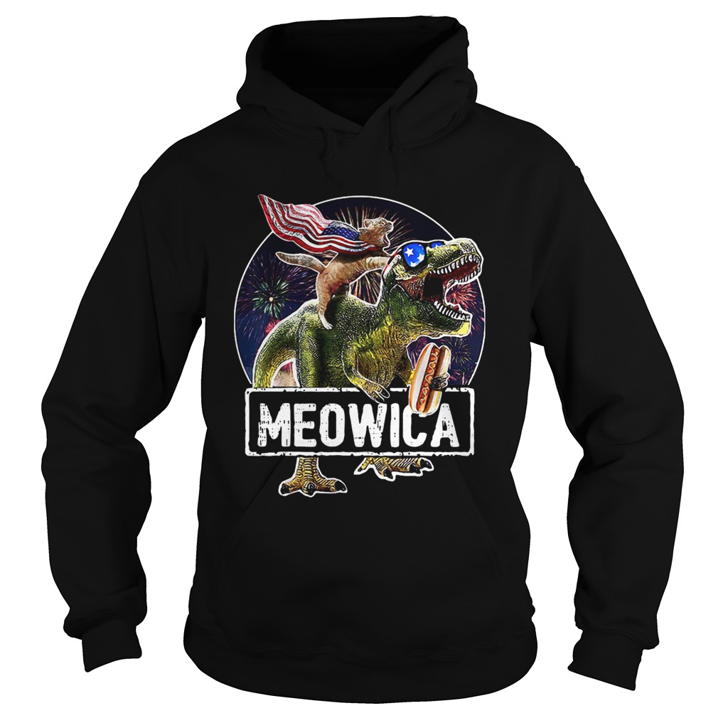 Meowica Cat T Rex Dinosaur 4th Of July  Hoodie