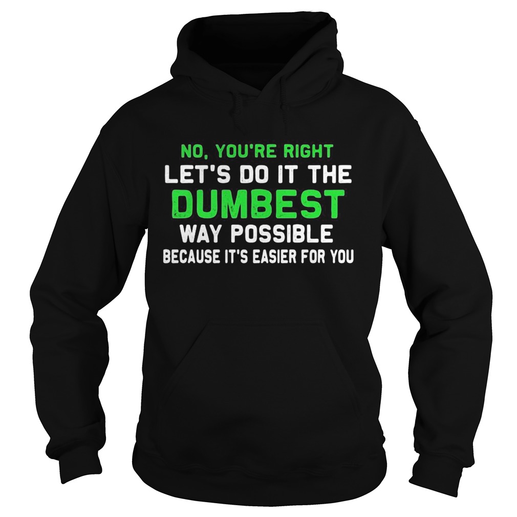 No Youre Right Lets Do It The Dumbest Way Possible Because Its Easier For You Hoodie
