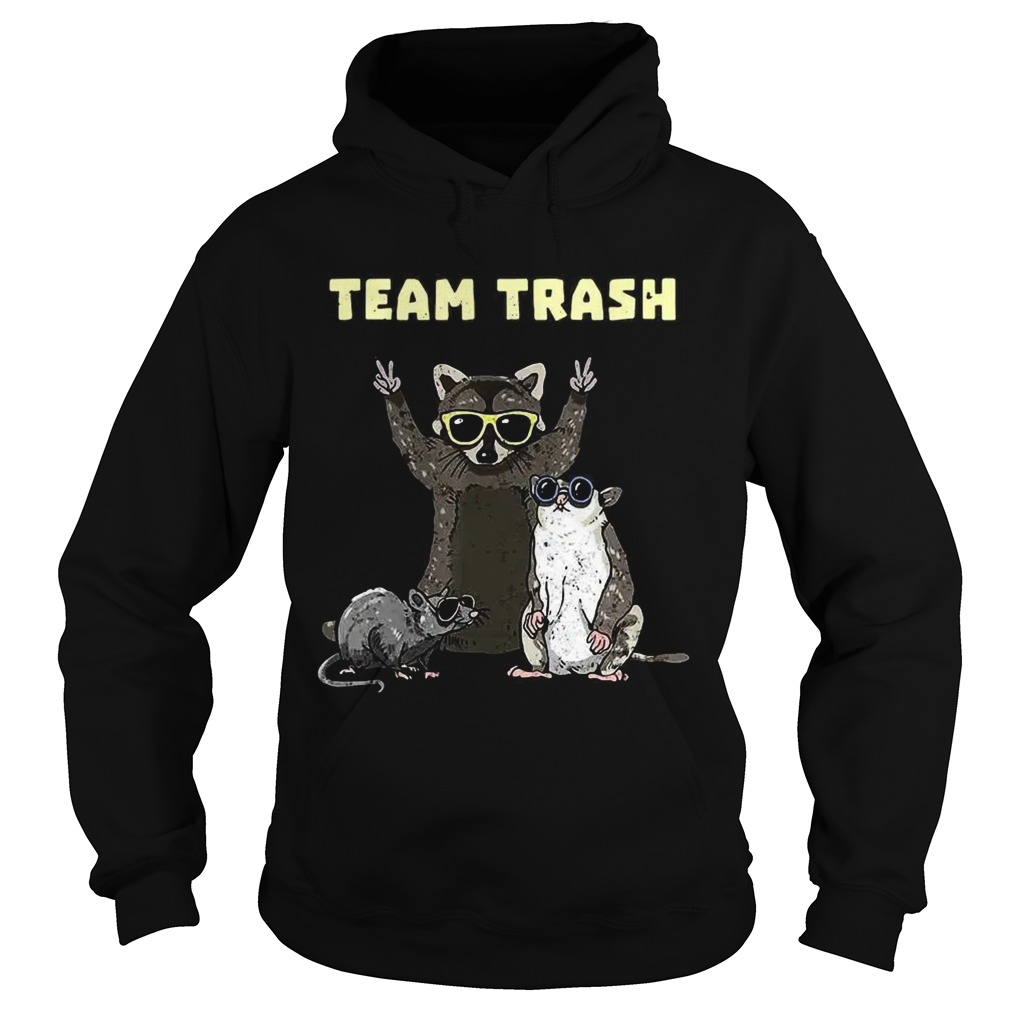 Team Trash Opossum Raccoon Rat Funny Animals Garbage Gang Hoodie