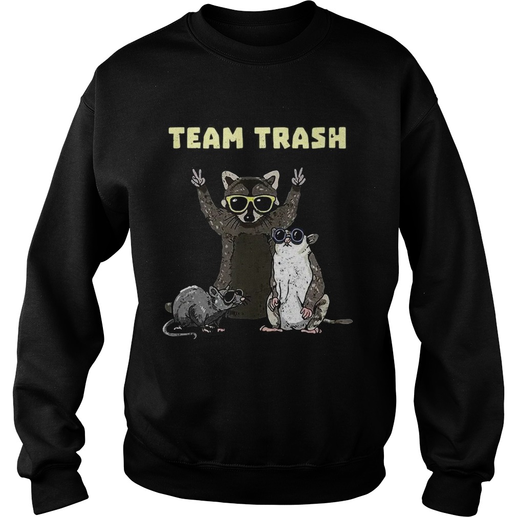 Team Trash Opossum Raccoon Rat Funny Animals Garbage Gang Sweatshirt