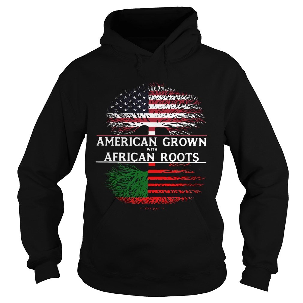 Tree American Grown With African Roots American Flag Independence Day Hoodie