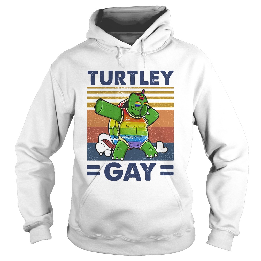 Turtle gay lgbt vintage retro  Hoodie