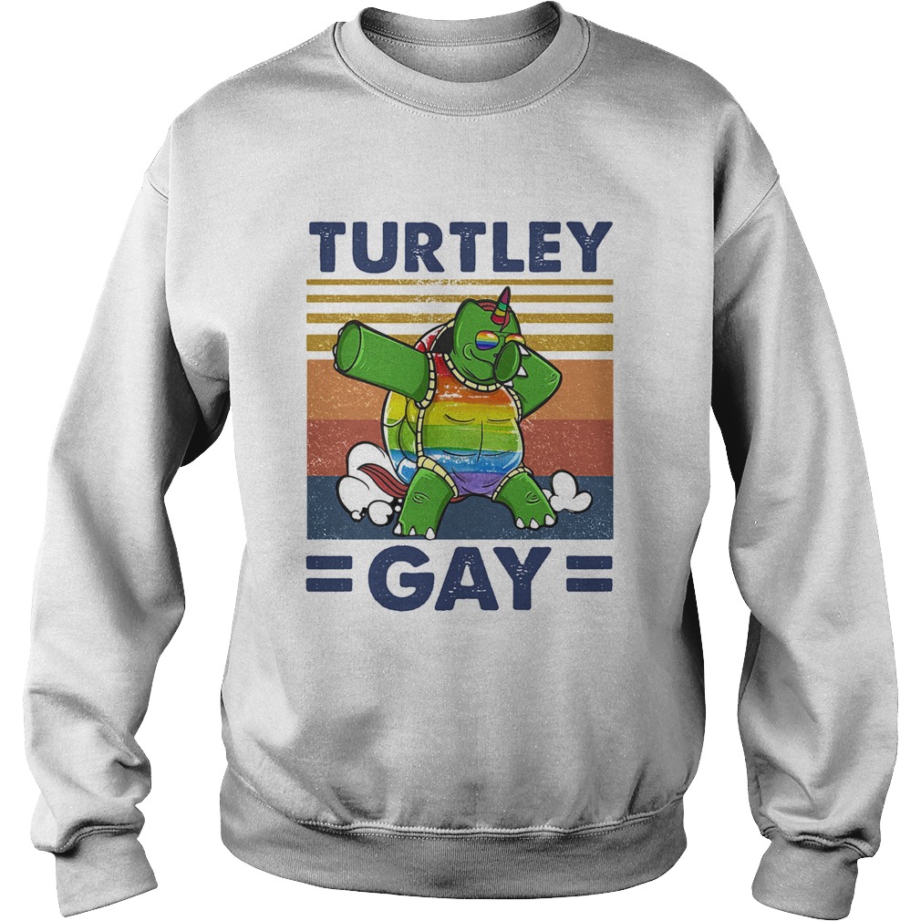 Turtle gay lgbt vintage retro  Sweatshirt