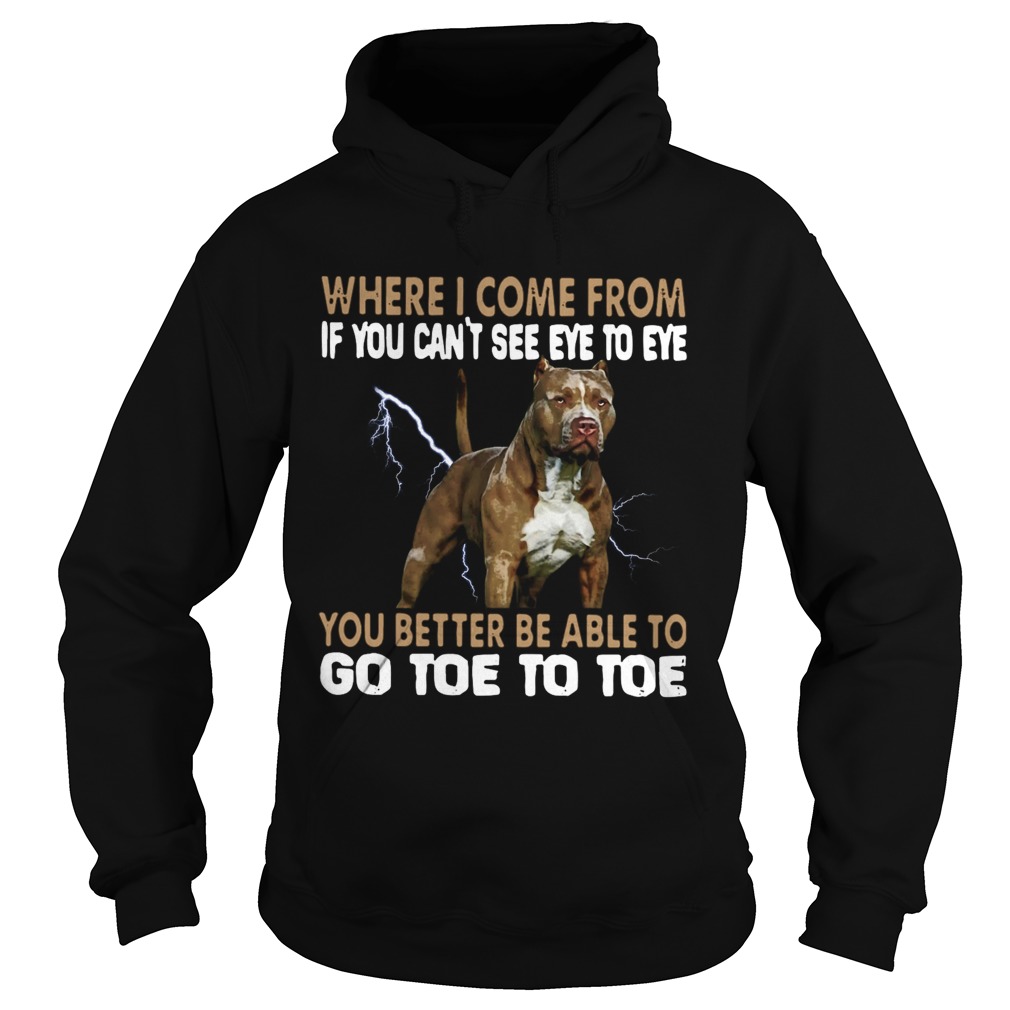 Where I Come From If You Cant See Eye To Eye You Better Be Able To Go Toe To Toe  Hoodie