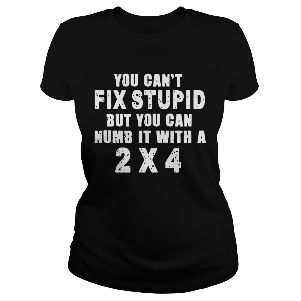You Cant Fix Stupid Classic Ladies