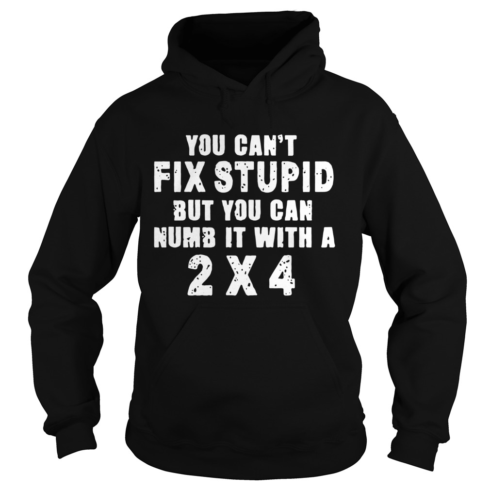 You Cant Fix Stupid Hoodie