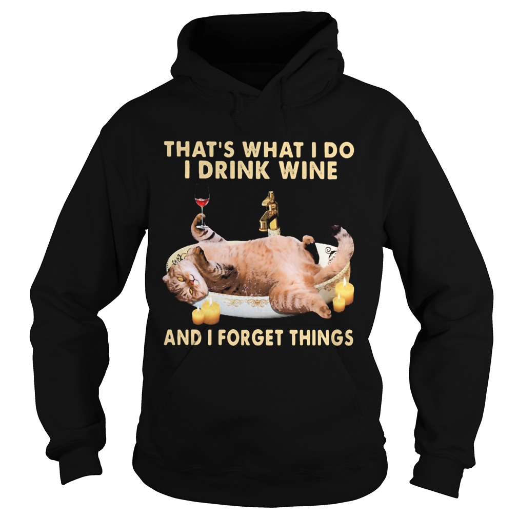 Cat thats what i do i drink wine and i forget things Hoodie
