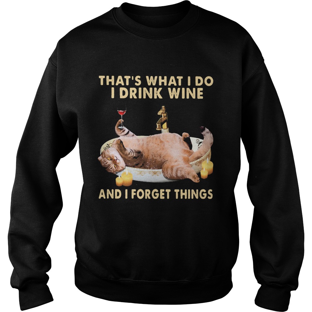 Cat thats what i do i drink wine and i forget things Sweatshirt