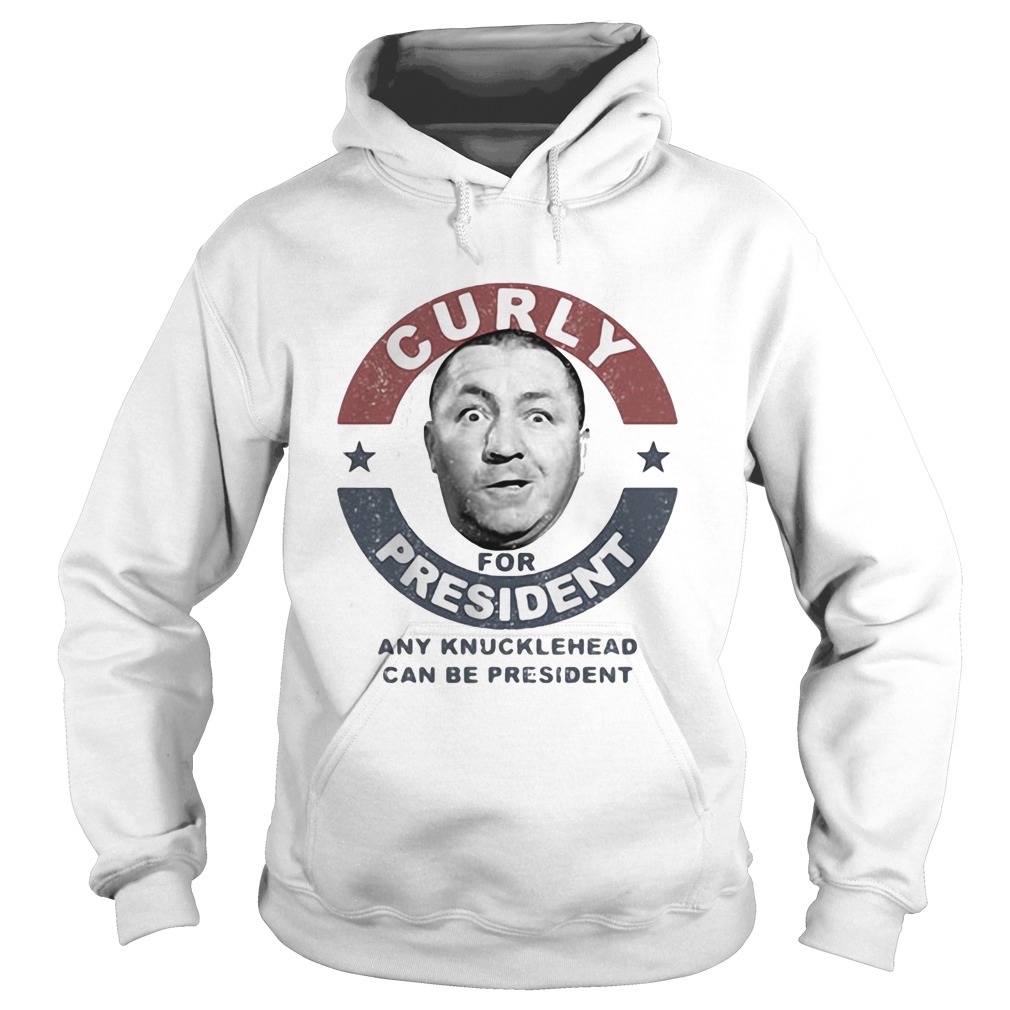 Curly for president any knucklehead can be president stars Hoodie